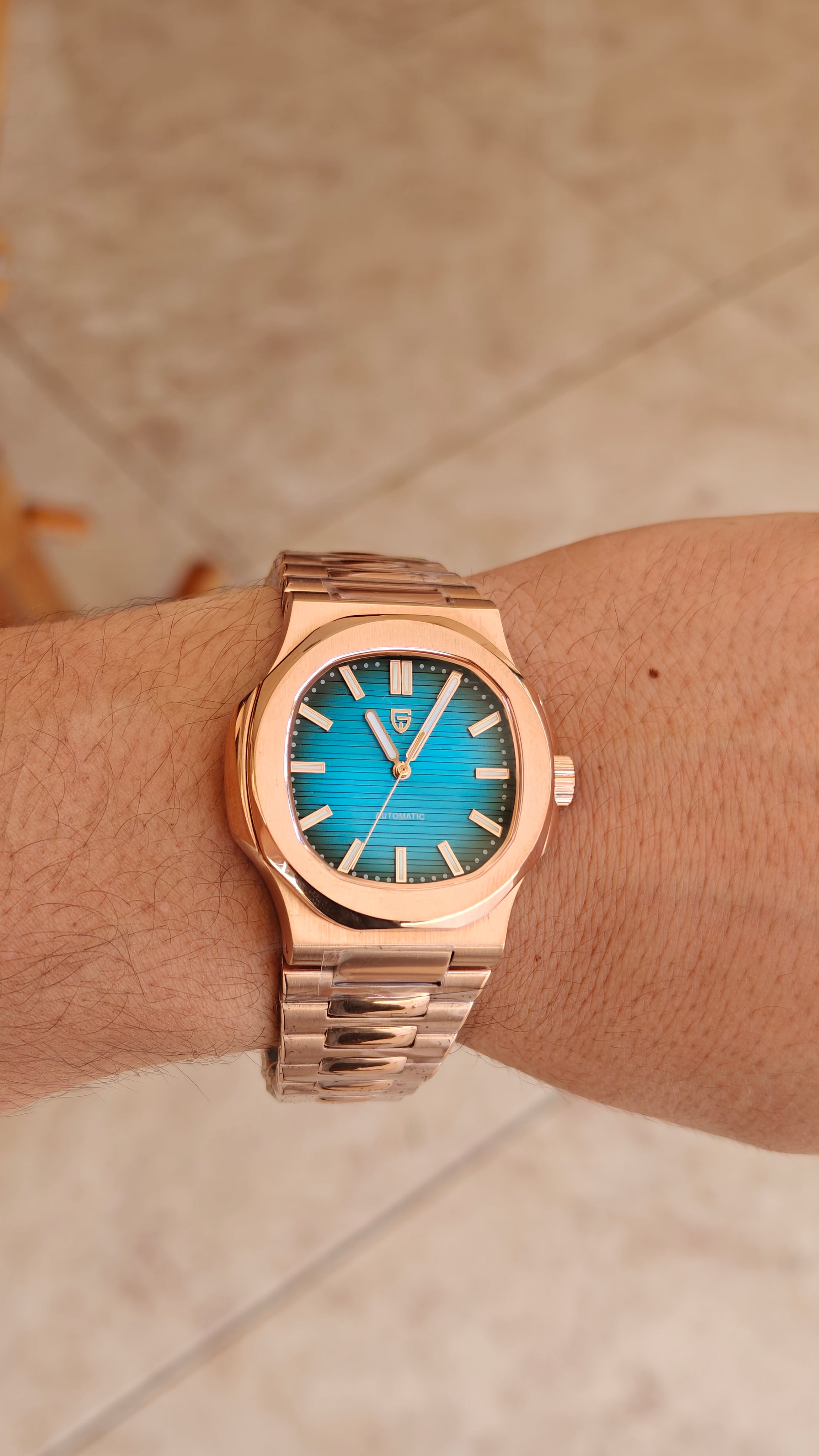 Pagani design PD-1728  (Homenaje al Patek Philippe Nautilus Oro Rosa)