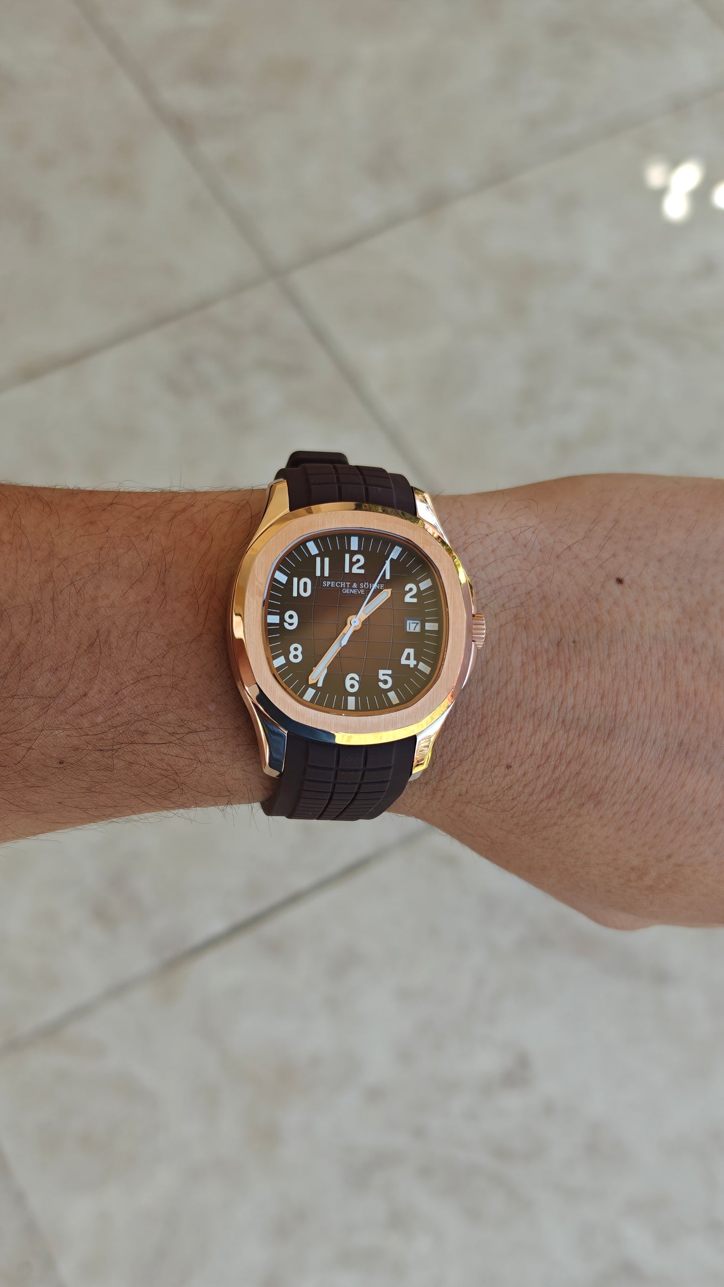 Specht & Söhne SP0008 – Homenaje al Patek Philippe Aquanaut oro rosa